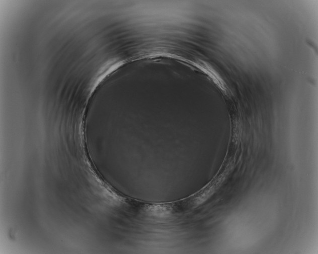 X0000091190806200708231507