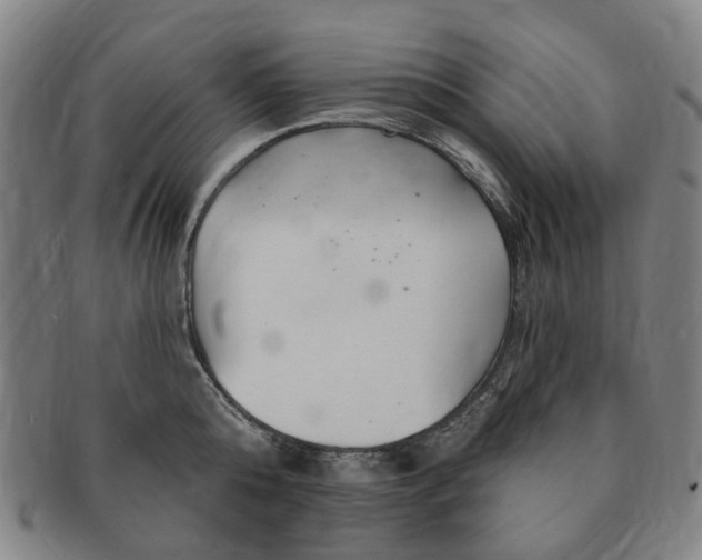 X0000091190808200708231507