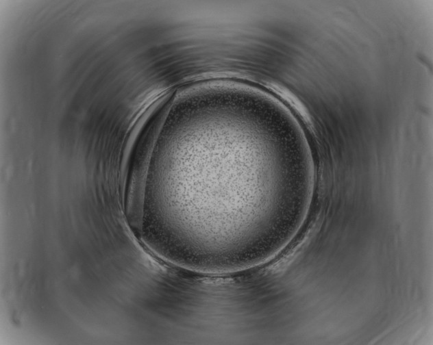 X0000091190809200708231507