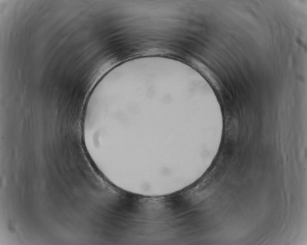 X0000091190810200708231507