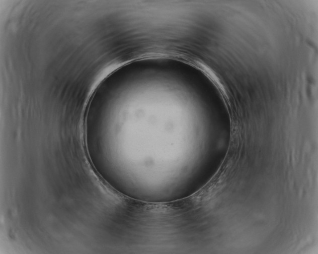 X0000091190811200708231507