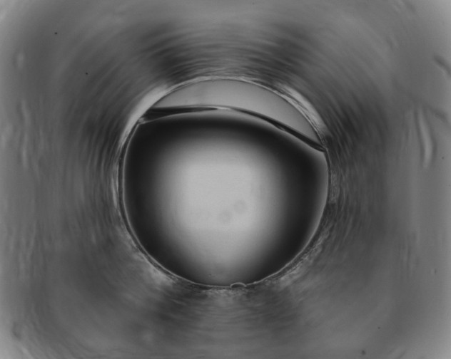 X0000091190812200708231507