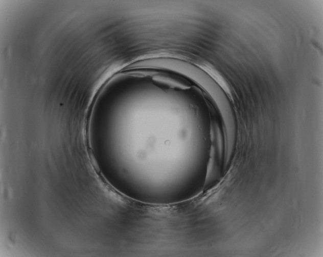 X0000091190813200708231507