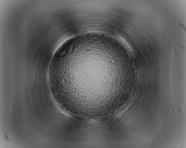 X0000091190814200708231507