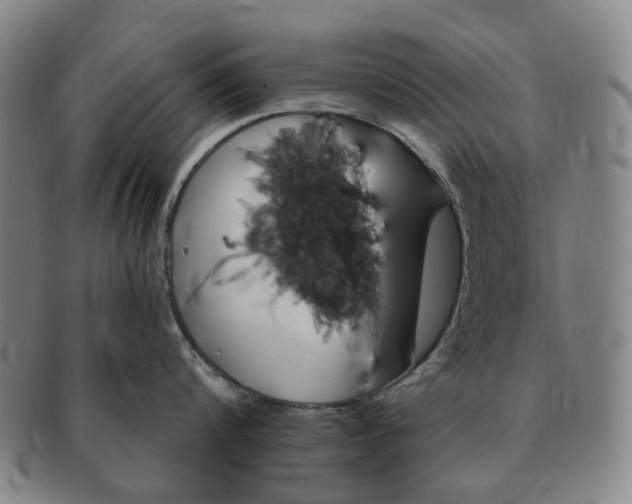 X0000091190816200708231507