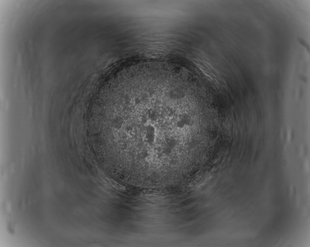 X0000091190817200708231506