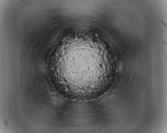 X0000091190819200708231506