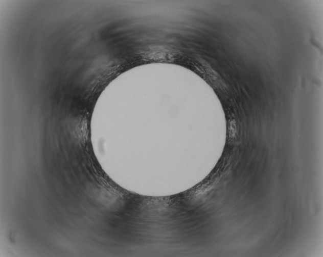 X0000091190820200708231506