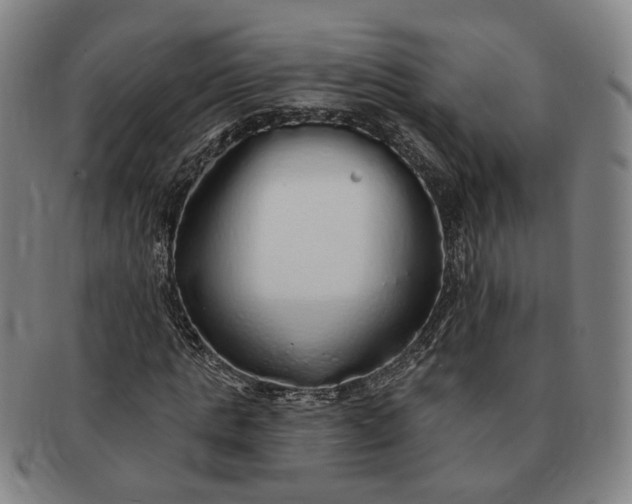 X0000091190821200708231507