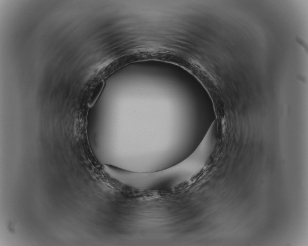 X0000091190822200708231507