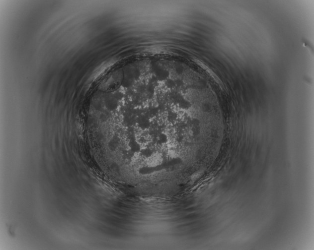 X0000091190823200708231507