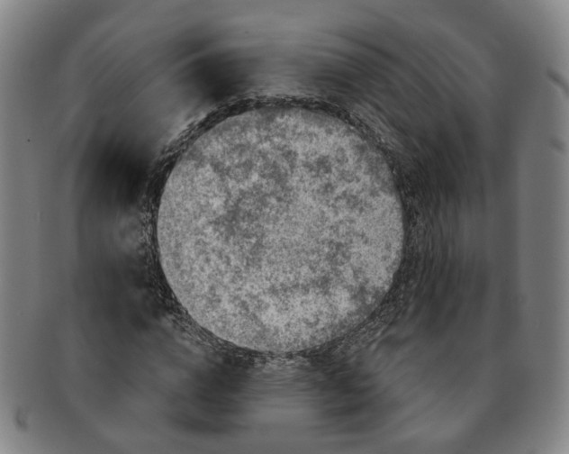 X0000091190824200708231507