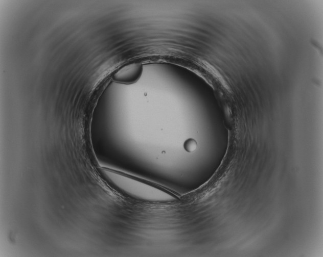 X0000091190826200708231507