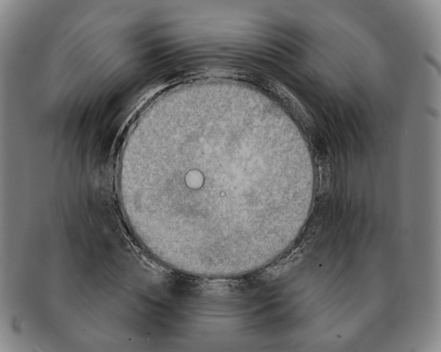 X0000091190828200708231507