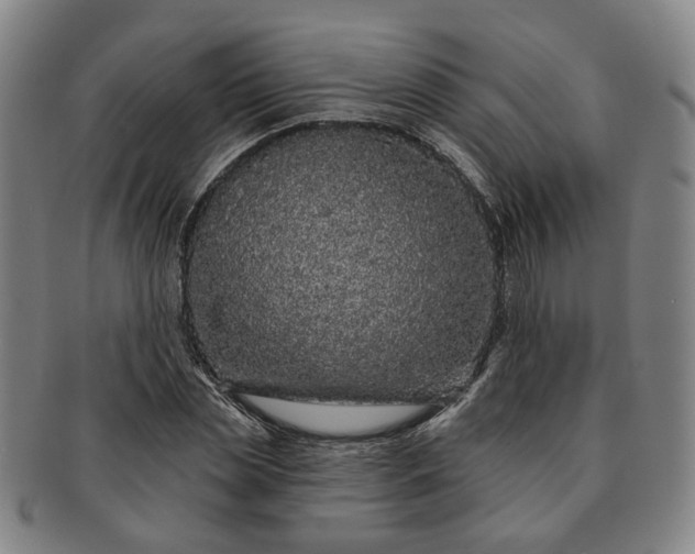 X0000091190829200708231507