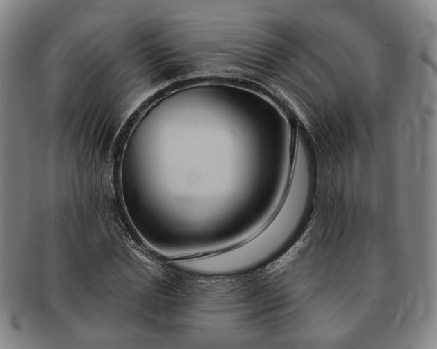 X0000091190830200708231507