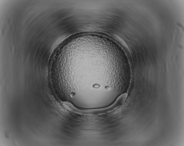 X0000091190831200708231507