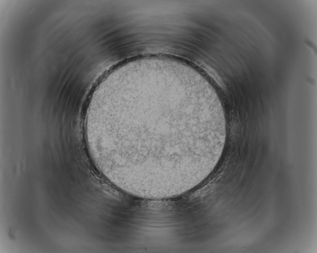 X0000091190832200708231507