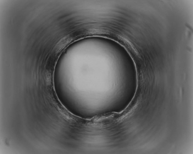 X0000091190833200708231507