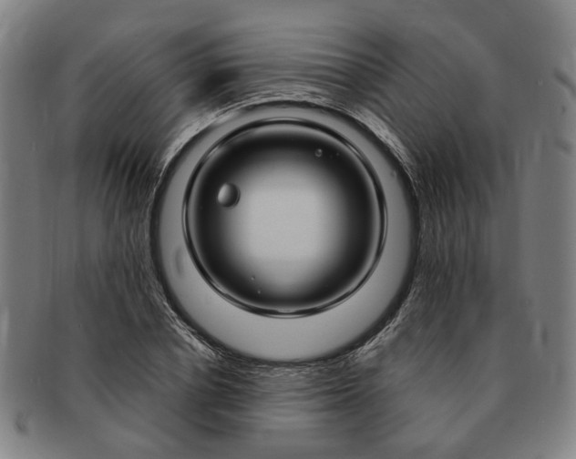 X0000091190834200708231507