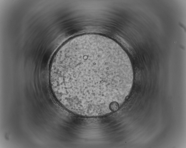 X0000091190836200708231507