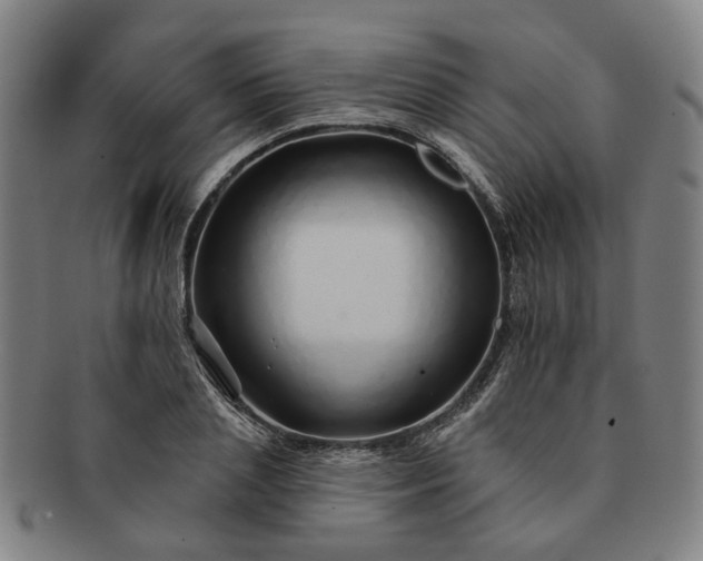 X0000091190837200708231507