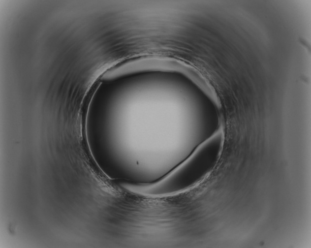 X0000091190838200708231507