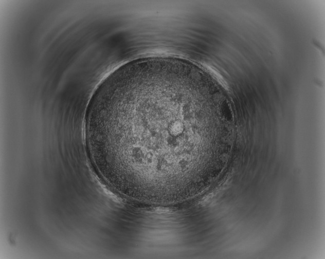 X0000091190839200708231507