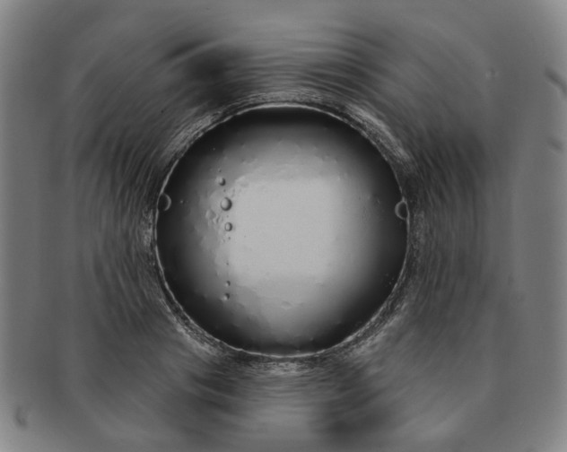 X0000091190841200708231507