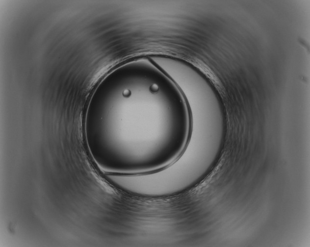 X0000091190842200708231507