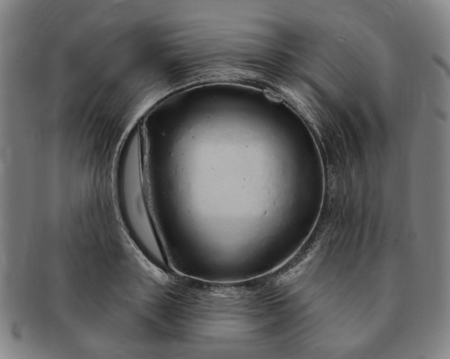 X0000091190843200708231507