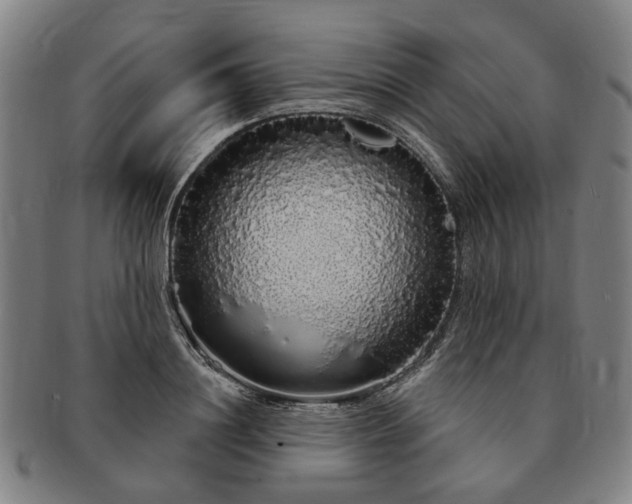 X0000091190844200708231507