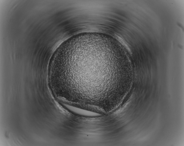 X0000091190845200708231507