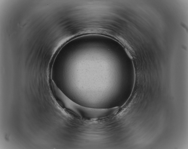 X0000091190846200708231507