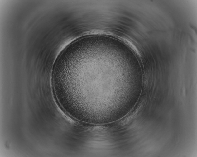 X0000091190847200708231507