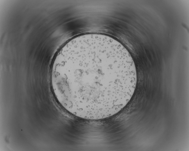 X0000091190848200708231507