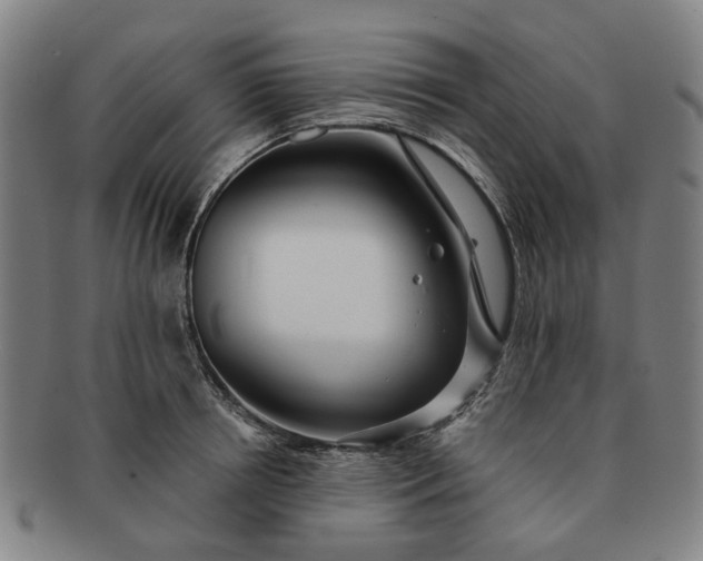 X0000091190850200708231507