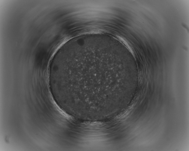 X0000091190851200708231507