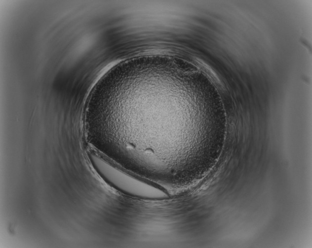 X0000091190852200708231507