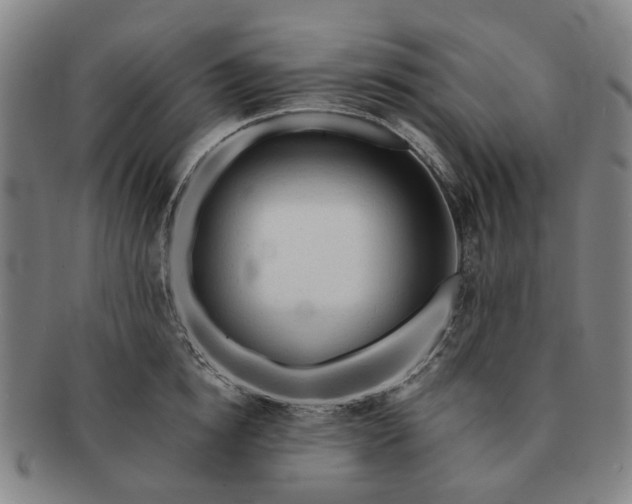 X0000091190854200708231507