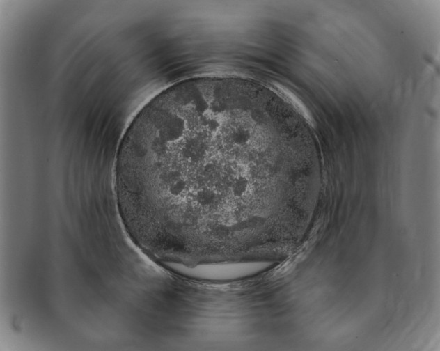 X0000091190855200708231507