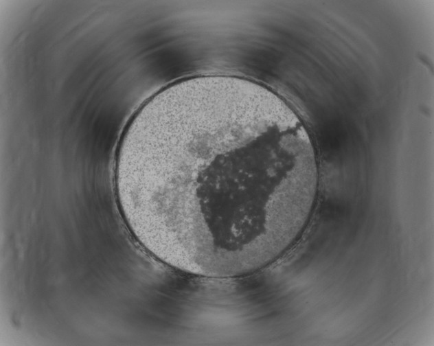 X0000091190856200708231507