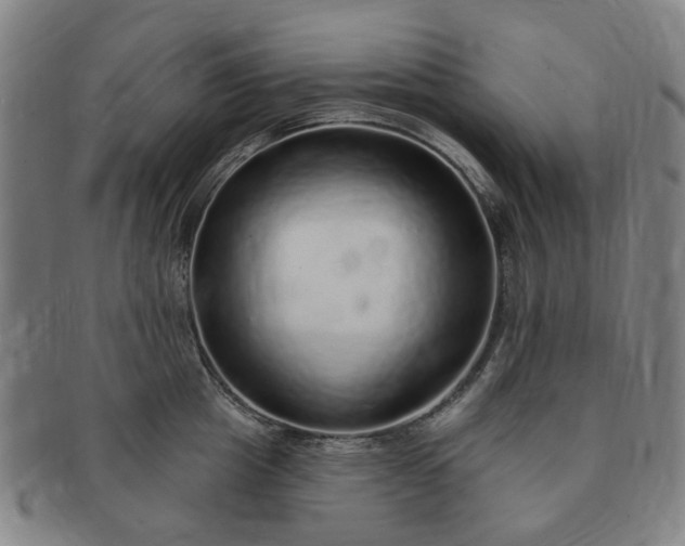 X0000091190857200708231507