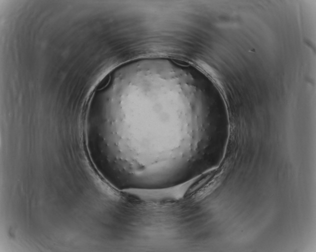 X0000091190859200708231507