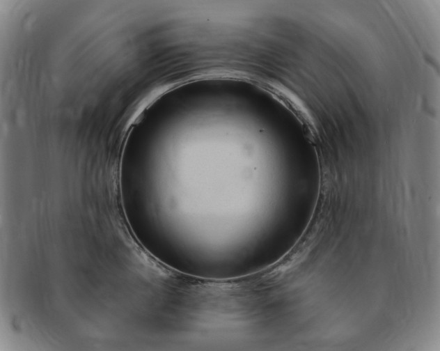 X0000091190860200708231507