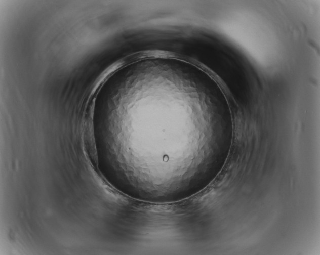 X0000091190861200708231507