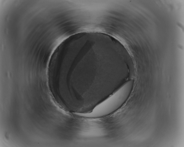 X0000091190864200708231507