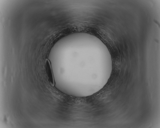 X0000091190865200708231506