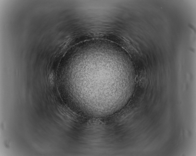 X0000091190866200708231506