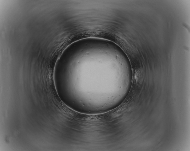 X0000091190867200708231506